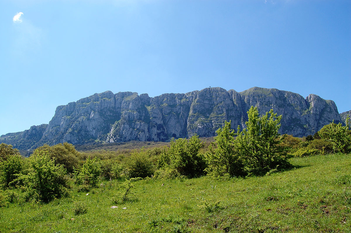 Bosco della Ficuzza