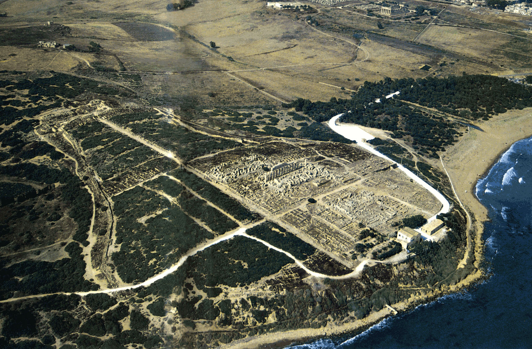 Parco archeologico di Selinunte